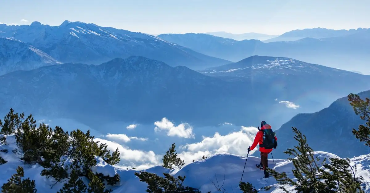Voyage en Cargo : Une Aventure Pas Comme les Autres