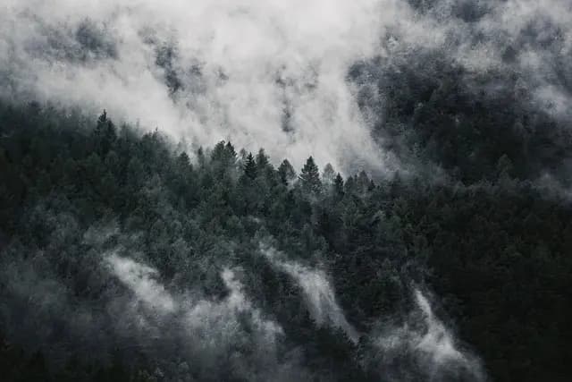 Explorer des Terrains Hostiles : Du Camping à la Survie