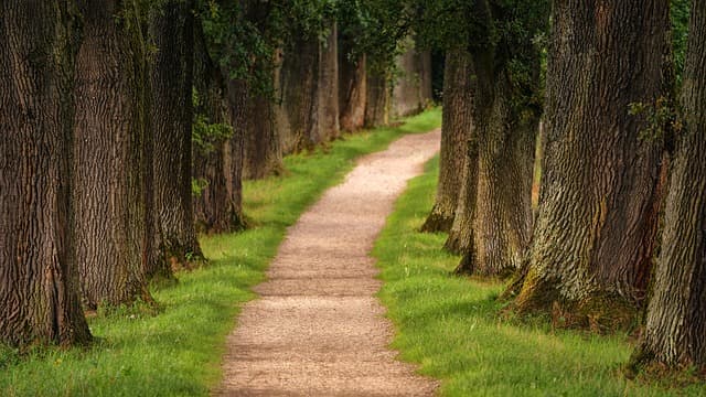 Les Meilleures Astuces pour un Voyage Intrépide et Réussi