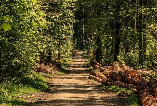 Les 7 Équipements Indispensables pour des Voyages Intrépides